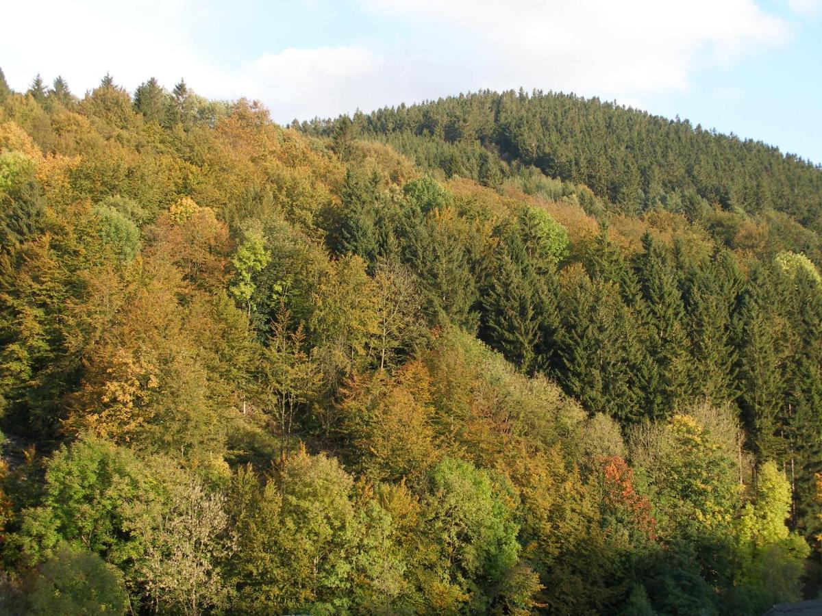 Pension Haus Waldfrieden, Meinecardplus Inklusive 빌링겐 객실 사진