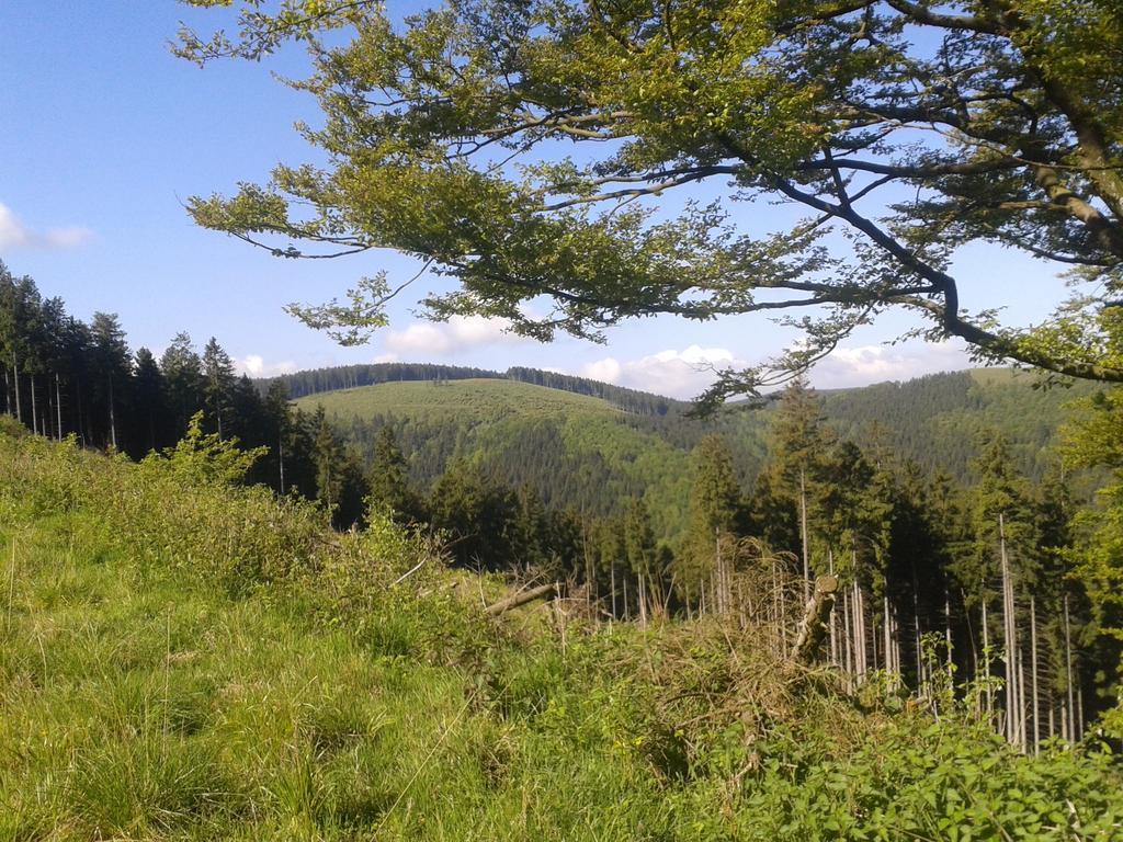 Pension Haus Waldfrieden, Meinecardplus Inklusive 빌링겐 외부 사진