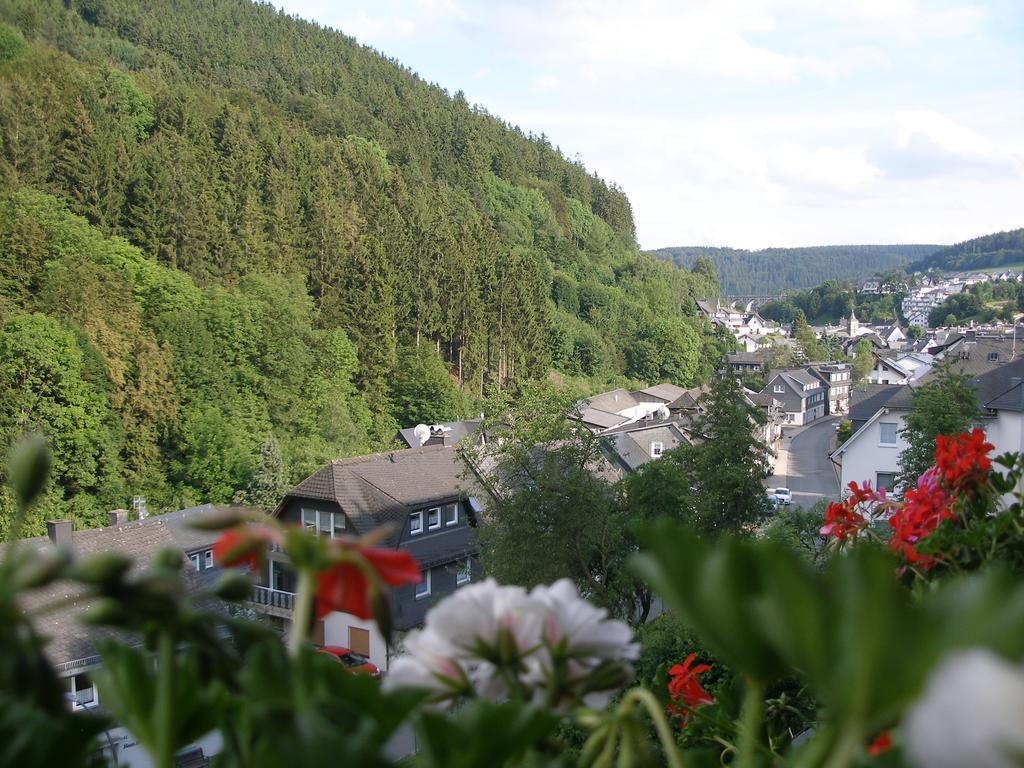 Pension Haus Waldfrieden, Meinecardplus Inklusive 빌링겐 외부 사진
