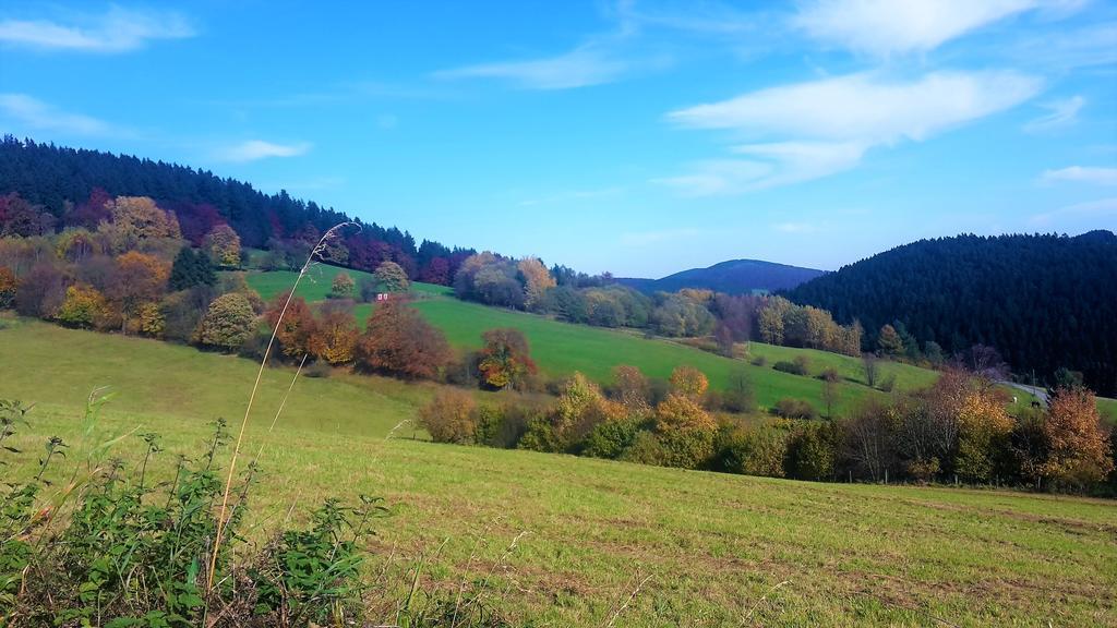 Pension Haus Waldfrieden, Meinecardplus Inklusive 빌링겐 외부 사진