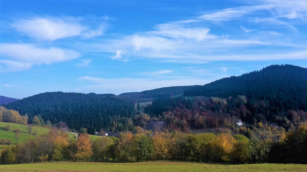 Pension Haus Waldfrieden, Meinecardplus Inklusive 빌링겐 외부 사진