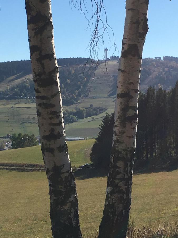 Pension Haus Waldfrieden, Meinecardplus Inklusive 빌링겐 외부 사진