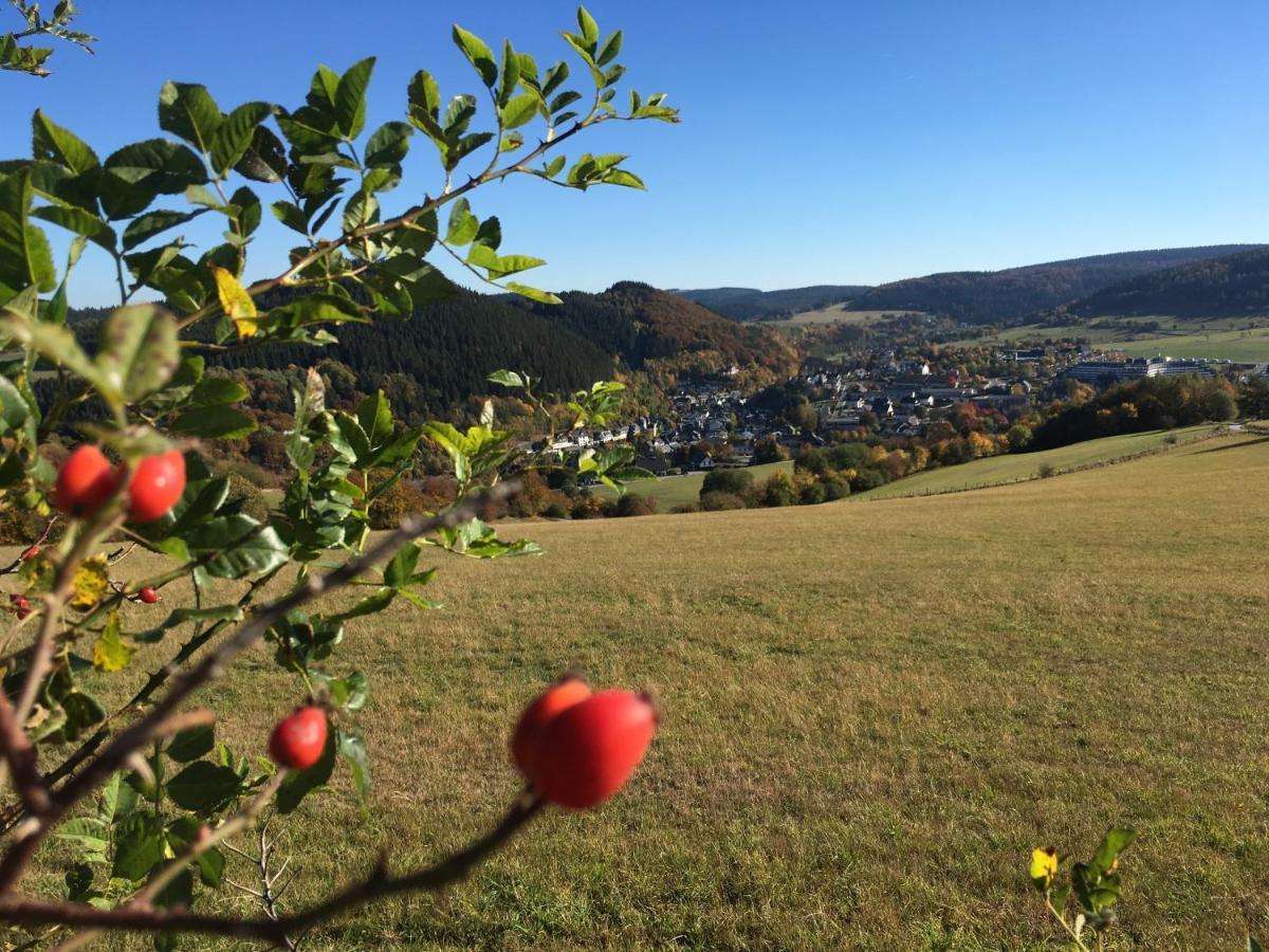 Pension Haus Waldfrieden, Meinecardplus Inklusive 빌링겐 외부 사진